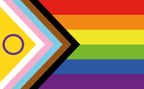 Aboriginal flag