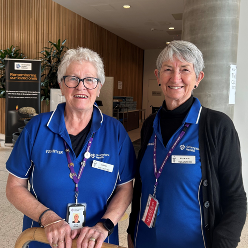 Carol And Elwyn, Welcome Team Feb 2025