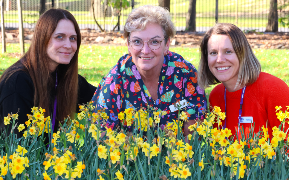 Dipping For A Daffodil Day Drive
