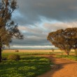 Edenhope Image