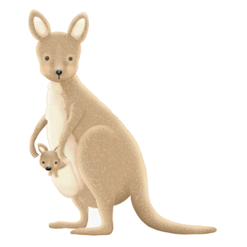 Early Parenting Centre Illustration of a kangaroo standing upright with a joey in its pouch. Both kangaroos have light brown fur with a white belly, large ears, and black noses, depicted in a soft, textured style on a white background.