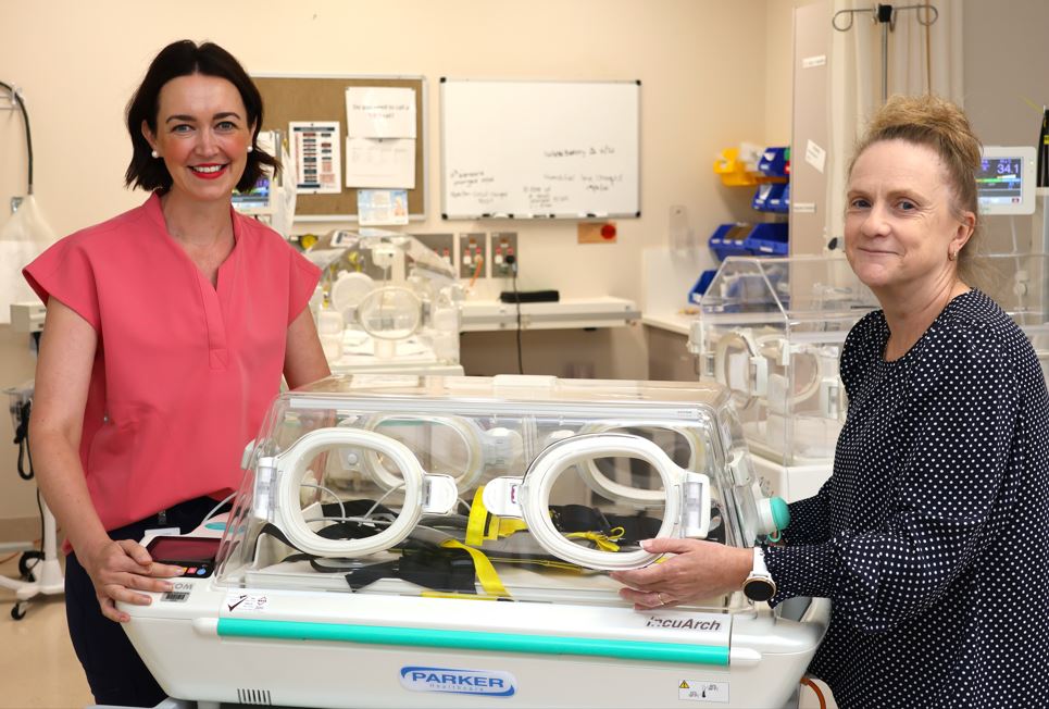 New Transfer Cot For Yandilla New Transfer Cot For Yandilla