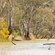Horsham Image