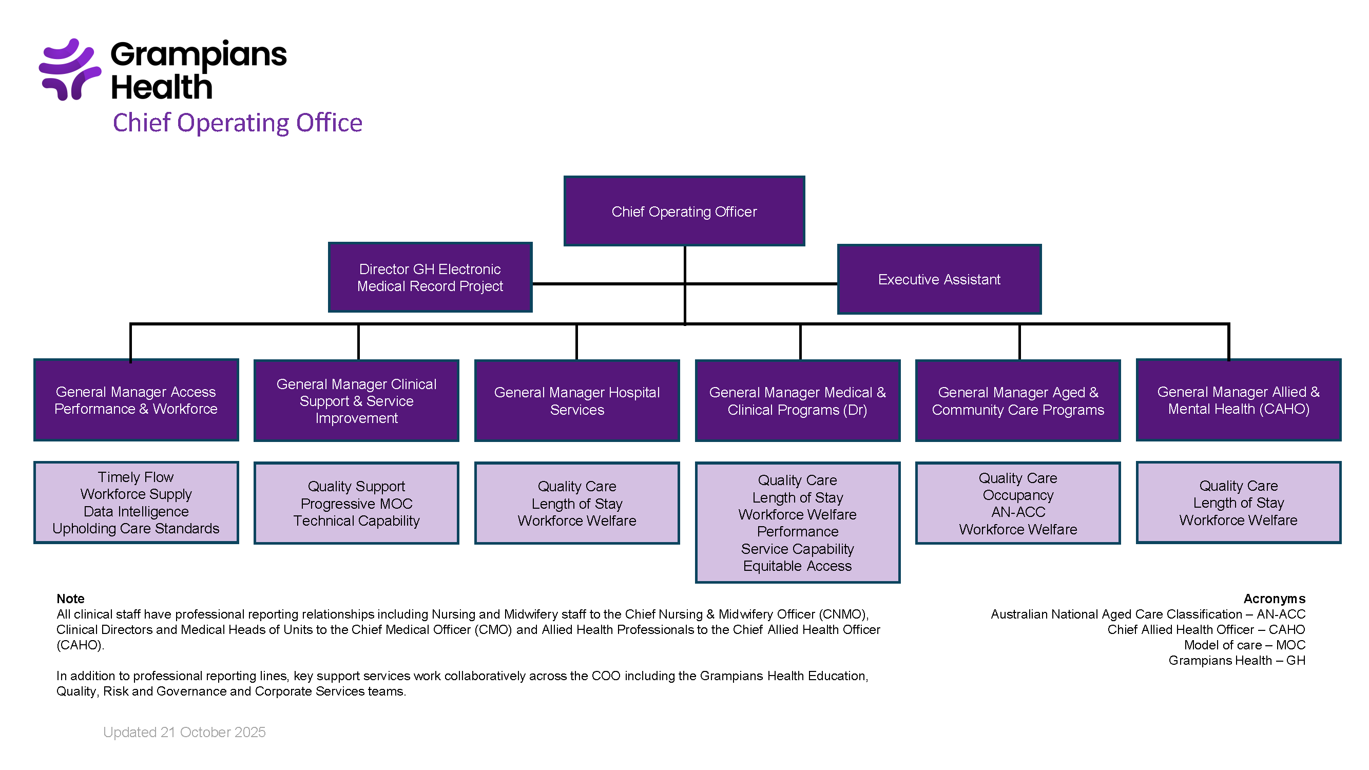 Grampians Health Chief Operating Office org chart with COO at top, two direct reports, and six General Managers overseeing areas like workforce, hospital services, clinical programs, aged care, and allied health.