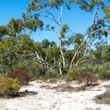 Dimboola Image