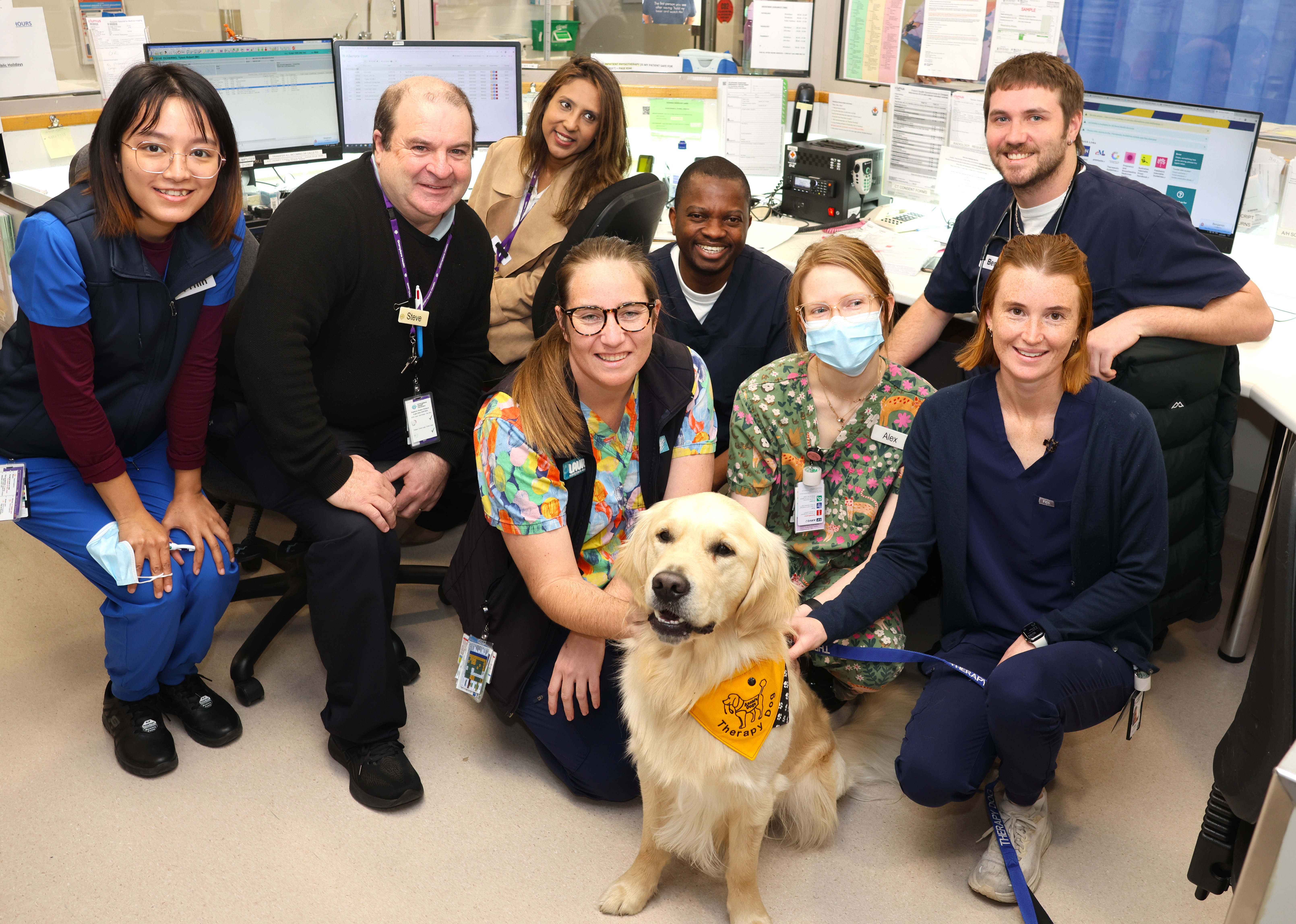 Therapy Dogs To Bring Comfort And Smiles To Horsham