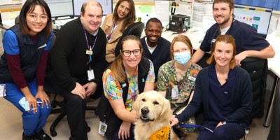 Therapy dogs to bring comfort and smiles to Horsham Image