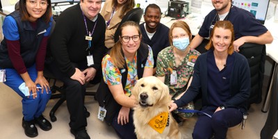 Therapy dogs to bring comfort and smiles to Horsham Image