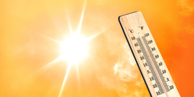 Looking After Each Other in Severe Summer Heat Image