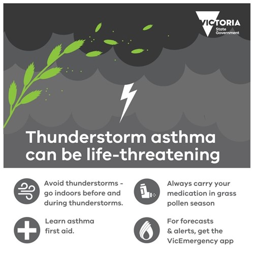 Thunderstorm Asthma Victoria State Government graphic warning that thunderstorm asthma can be life-threatening. The image shows green grass pollen blowing in the wind, dark storm clouds, and a lightning bolt. Text advises: ‘Avoid thunderstorms – go indoors before and during thunderstorms,’ ‘Always carry your medication in grass pollen season,’ ‘Learn asthma first aid,’ and ‘For forecasts and alerts, get the VicEmergency app.