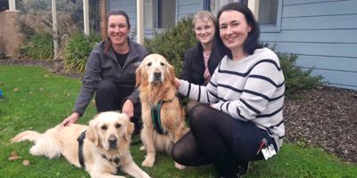 Grampians Health welcomes Dog Therapy Program shaped by consumer feedback Image