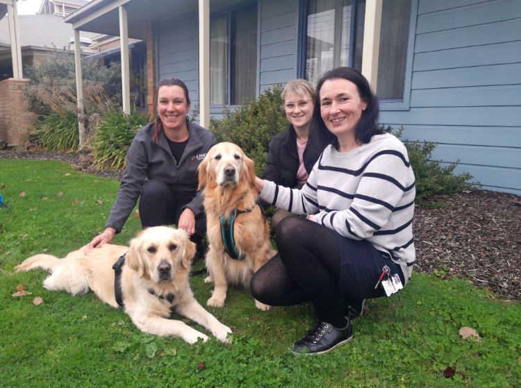 Grampians Health Welcomes Dog Therapy Program Shaped By Consumer Feedback Grampians Health Welcomes Dog Therapy Program Shaped By Consumer Feedback